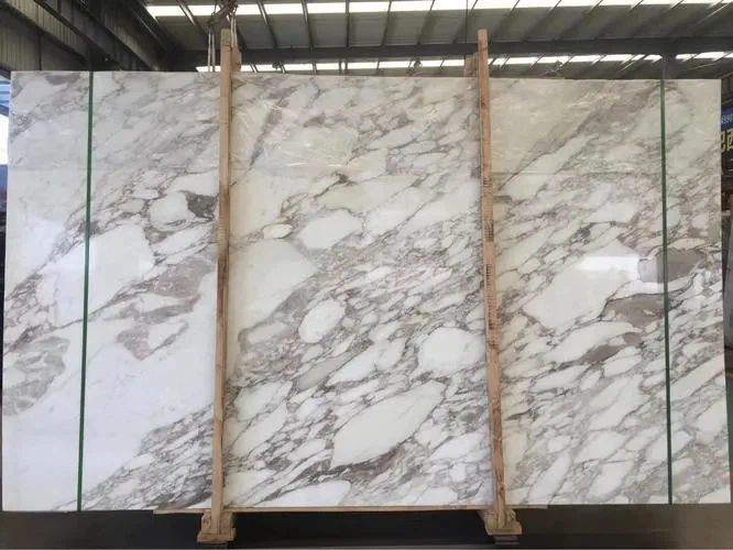 Calacatta Gold Marble